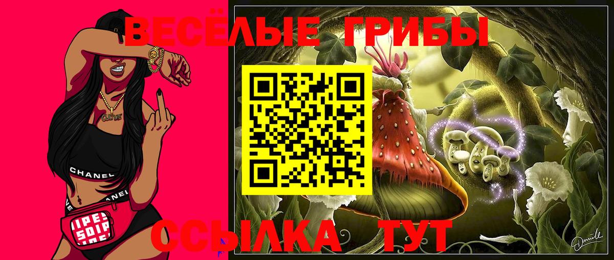Галлюциногенные грибы Cubensis Сунжа