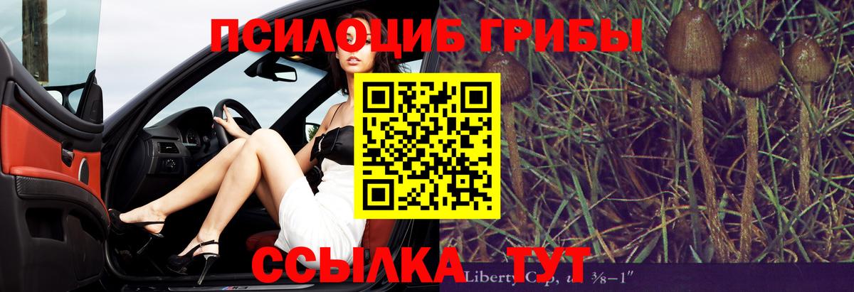 Сунжа  Галлюциногенные грибы Magic Shrooms  Вход с VPN 